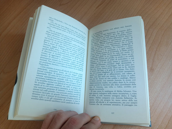 La casa a Nord - Est | Sergio Maldini - Marsilio