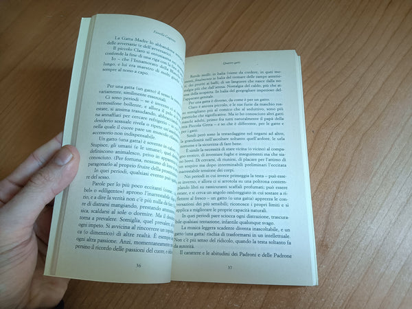 Quattro gatti | Fiorella Cagnoni