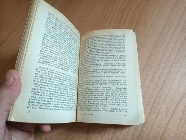 La capanna dello zio Tom ovvero la vita dei negri negli stati schiavisti d’America | Harriet Beecher Stowe - Rizzoli