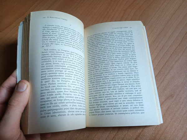 Il rinascimento italiano | Eugenio Garin