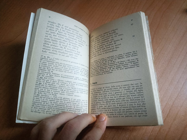 Amori e peripezie (la commedia nuova) | Francesco Sisti