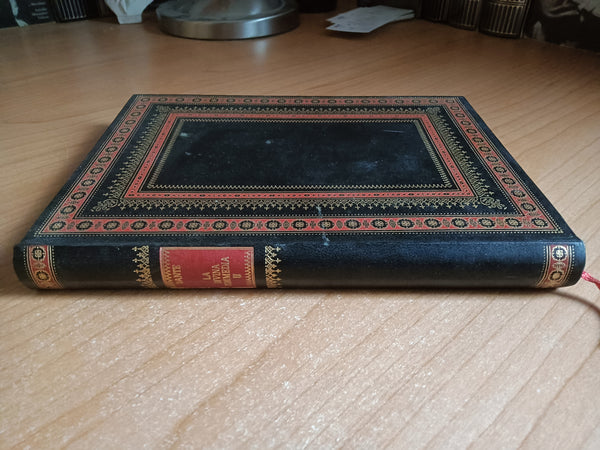 Divina Commedia. Purgatorio | Dante Alighieri