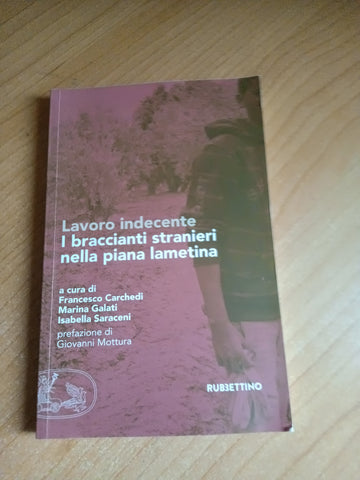 Lavoro indecente. I braccianti stranieri nella piana lametina | F. Carchedi; Galati; Saraceni