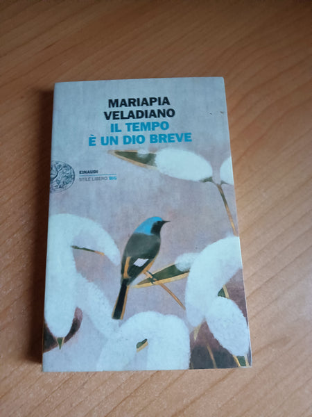 Il tempo è un dio breve | Mariapia Veladiano - Einaudi