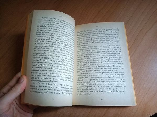 La finestra illuminata | Grazia Livi