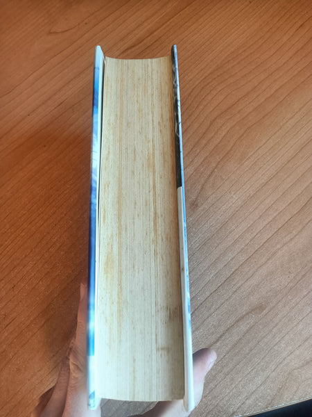 L’acchiappasogni | Stephen King