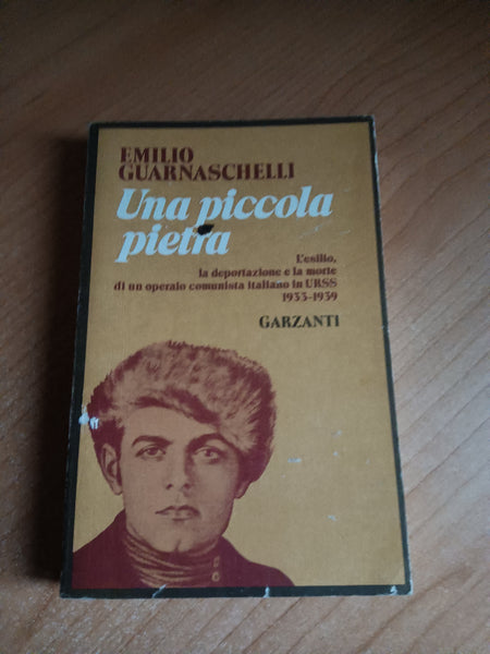 Una piccola pietra | Emilio Guarnaschelli - Garzanti