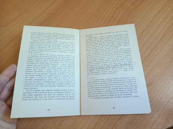 Lavoro, valore e prezzo nella teoria di Marx | Sandra Caliccia - Laterza