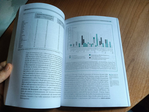 Scoprire la macroeconomia 1 Quello che non si può sapere | Blanchard; Giavazzi; Amighini - Il Mulino