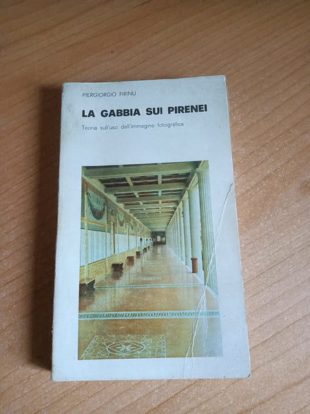 La Gabbia sui Pirenei. Teoria sull’uso dell’immagine fotografica | Piergiorgio Firinu