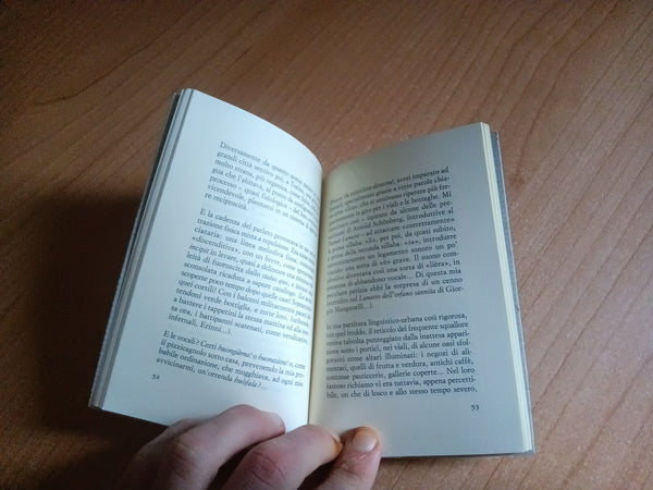 Un vento sottilissimo | Paolo Terni - Sellerio