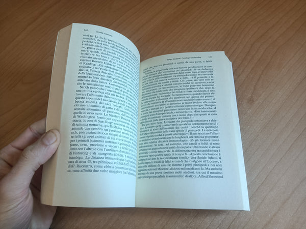 Sorella Scimmia. L’enigma dell’origine dell’uomo | Gribbin; Cherfas - Mondadori