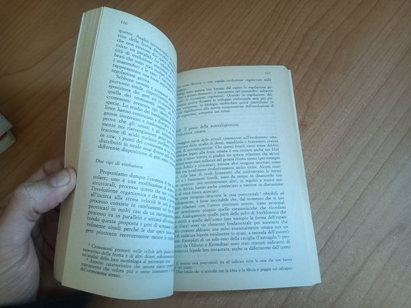 L’origine dell’uomo | Messeri; Dessi - Editori Riuniti