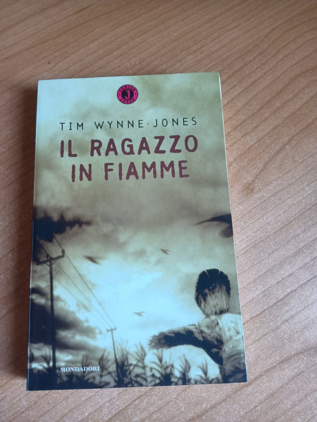 Il ragazzo in fiamme | Tim Wynne Jones - Mondadori