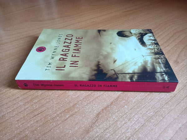 Il ragazzo in fiamme | Tim Wynne Jones - Mondadori