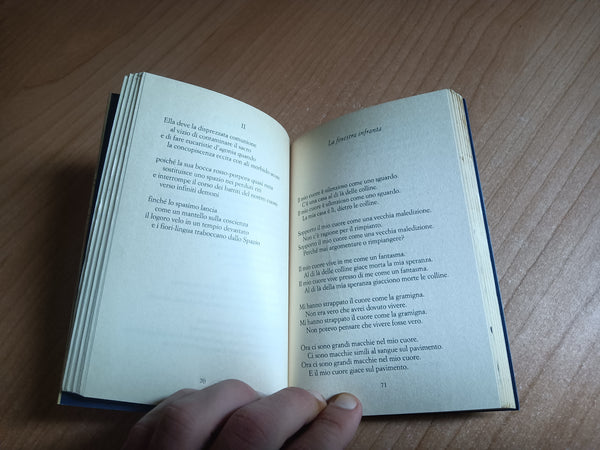 Il violinista pazzo | Fernando Pessoa - Mondadori