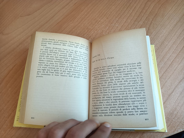 L’origine delle cose | Julian E. Lips