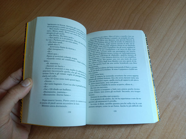 Ti prendo e ti porto via | Niccolò Ammaniti - Mondadori
