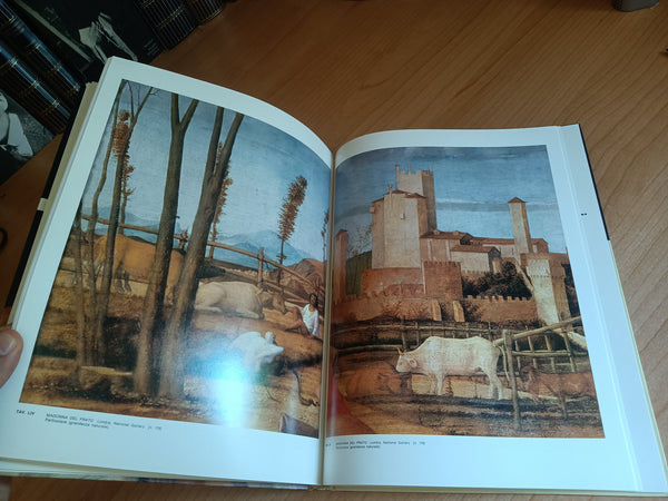 L’Opera completa di Giovanni Bellini detto Giambellino | Renato Ghiotto - Rizzoli