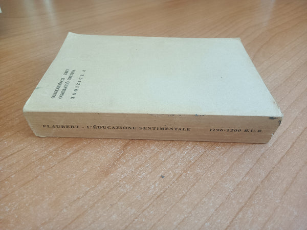 L’educazione sentimentale | Gustave Flaubert - Rizzoli