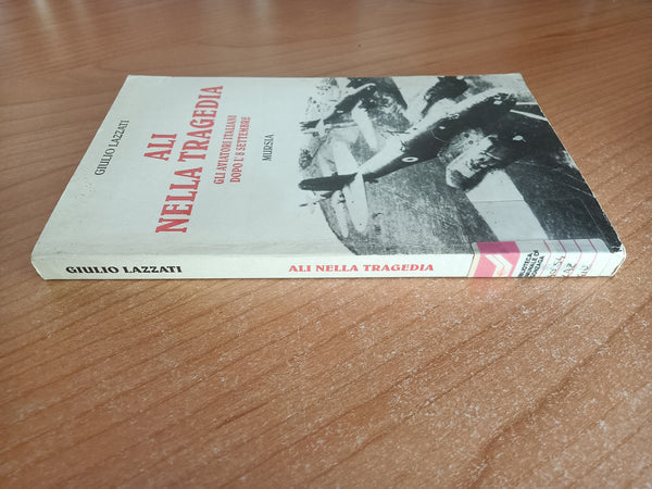 Ali nella tragedia. Gli aviatori italiani dopo l’ 8 settembre | Giulio Lazzati