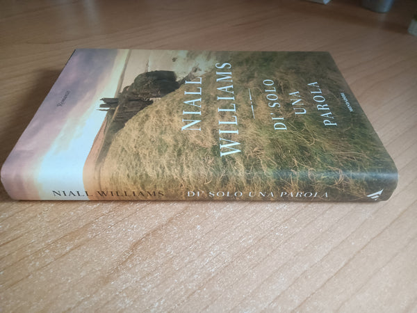 Di’ solo una parola | Niall Williams - Mondadori