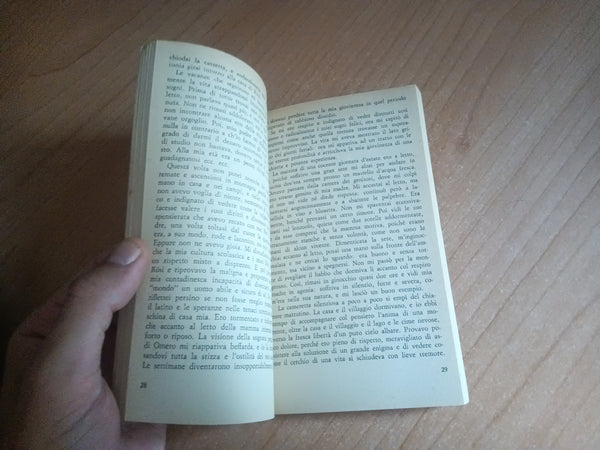 Peter Camenzind | Hermann Hesse - Mondadori