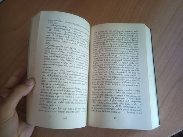 La musica delle farfalle | Rachael King