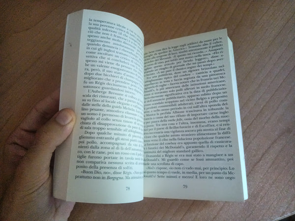 Lezioni di francese | Peter Mayle - Garzanti