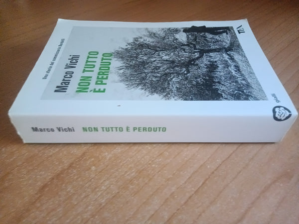 Non tutto è perduto | Marco Vichi - Guanda