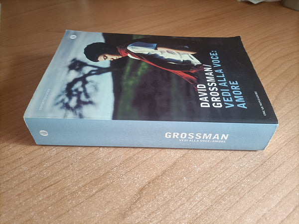 Vedi alla voce: amore | David Grossman - Mondadori