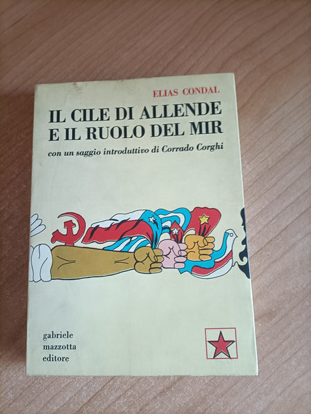 Il Cile di Allende e il ruolo del MIR | Elias Condal