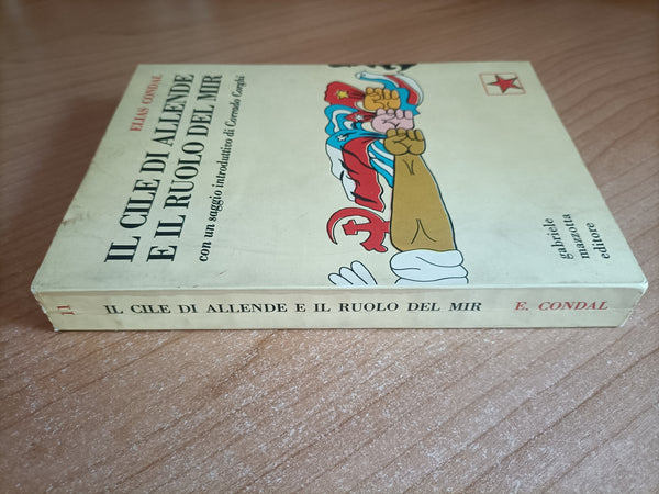 Il Cile di Allende e il ruolo del MIR | Elias Condal
