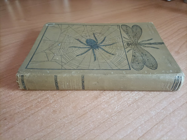 Le meraviglie dell’istinto negli insetti | J. H. Fabre