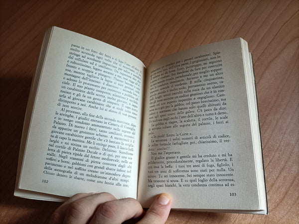 Il verbale | Carlo Panella - Sellerio