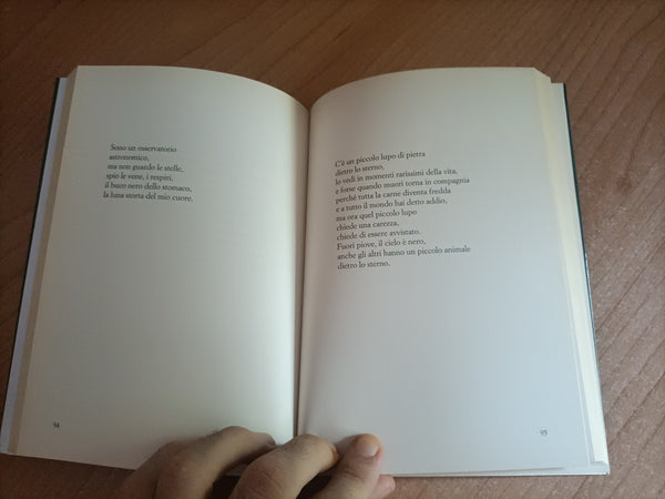 Resteranno i canti | Franco Arminio - Bompiani
