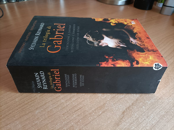 La trilogia di Gabriel | Sylvain Reynard
