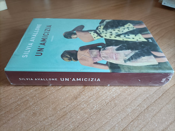 Un’amicizia | Silvia Avallone