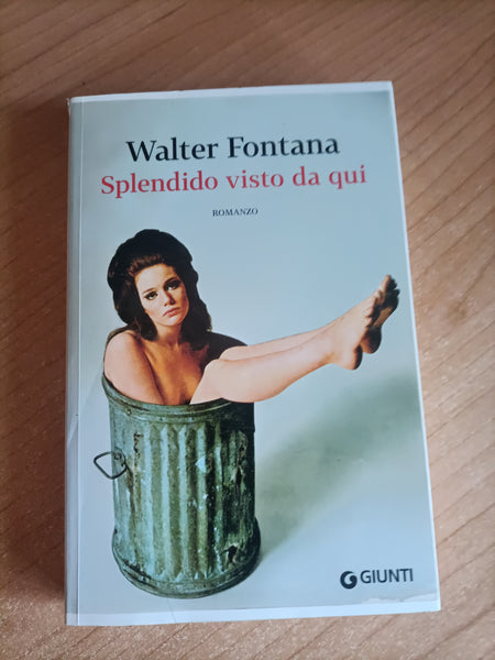 Splendido visto da qui | Walter Fontana