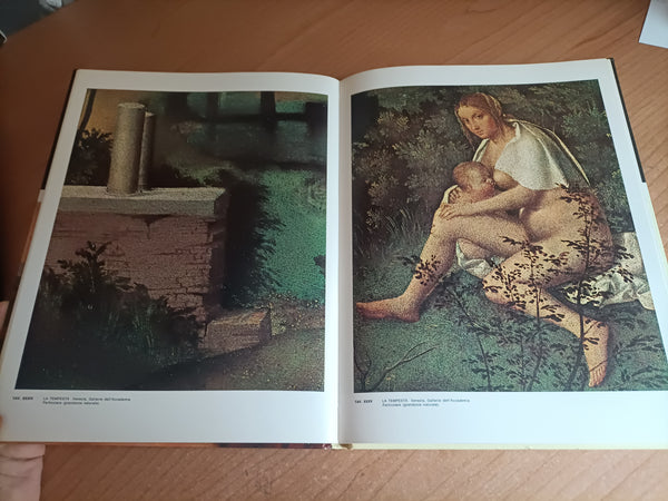 L’opera completa di Giorgione | Virgilio Lilli - Rizzoli