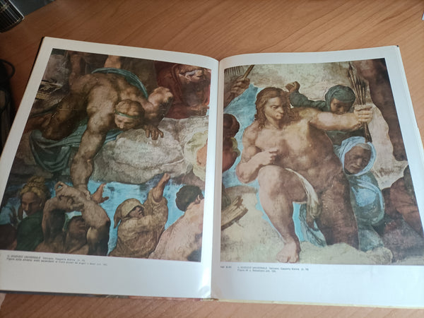 L’opera completa di Michelangelo pittore | Salvatore Quasimodo - Rizzoli