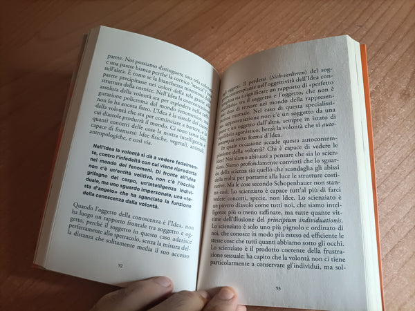 Schopenhauer | Tommaso Tuppini, a cura di