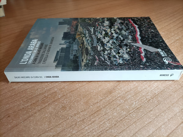 L’onda araba. I documenti delle rivolte | Salvo Vaccaro, a cura di