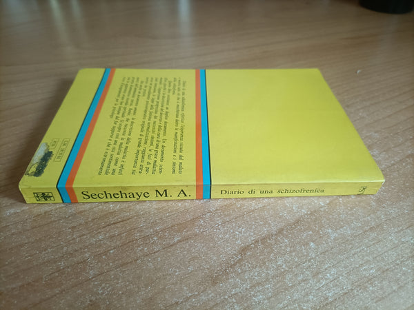 Diario di una schizofrenica | Marguerite A. Sechehaye