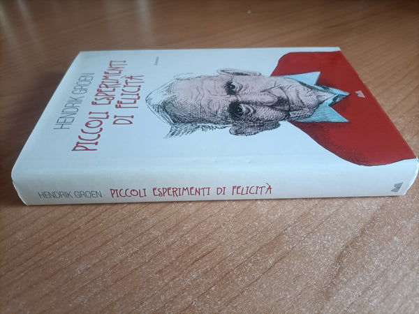 Piccoli esperimenti di felicità | Hendrik Groen