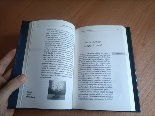 I magici mondi di Harry Potter | David Colbert