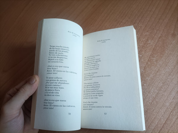Poesie d’amore | Federico Garcia Lorca - Guanda
