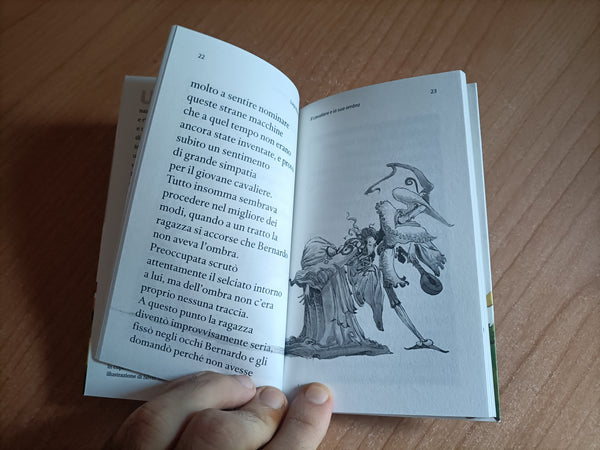 Il cavaliere e la sua ombra | Luigi Malerba