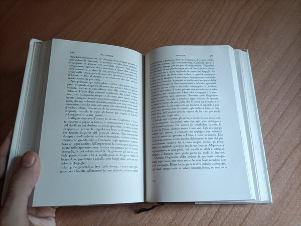 Romanzi. I dolori del giovane Werther. La missione teatrale di Guglielmo Meister. Le affinità elettive | Goethe - Mondadori