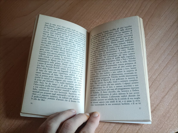 Fulmine a ciel sereno | S. Kirsch; C. Wolf; I. Morgner